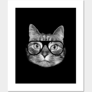 Cat wearing glasses Posters and Art